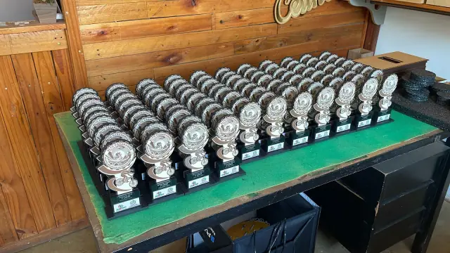 Grande conjunto de troféus de ciclismo alinhados sobre bancada verde